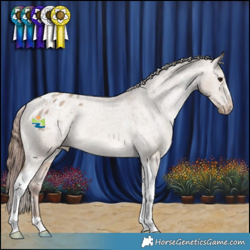 Horse Color:Classic Champagne Dun Tobiano Appaloosa 