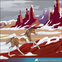 Horse Color:White Spotted Chocolate Palomino Tobiano 