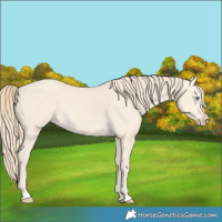 Horse Color:Perlino 