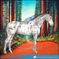 Horse Color:Liver Red Dun Sabino Blanket 