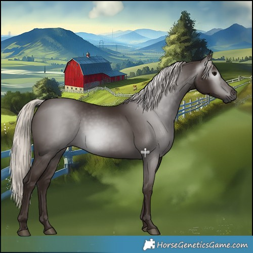 Horse Color:Gray Silver Black 