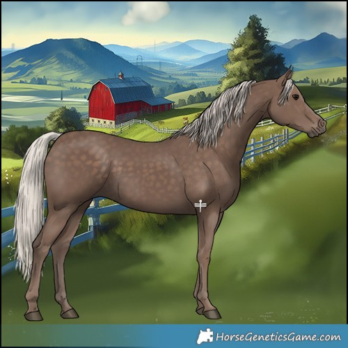Horse Color:Silver Black 