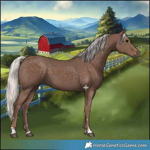 Horse Color:Silver Black 