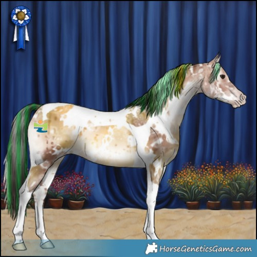 Horse Color:Painted White Spotted Sable Champagne Ice Onyx Tobiano 