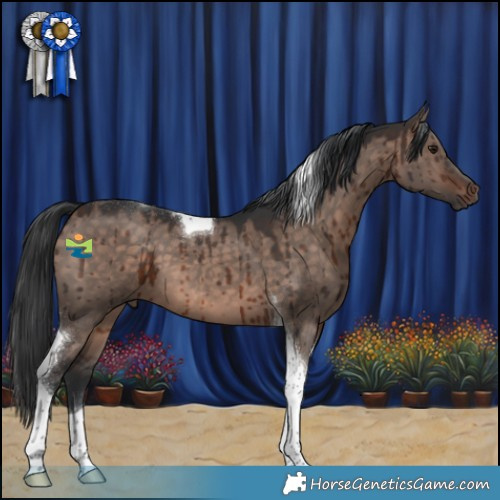 Horse Color:Brown Dun Mushroom Tobiano Brindle 