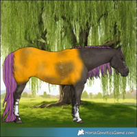 Horse Color:Painted Liver Chestnut Sabino 