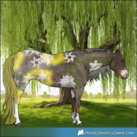 Horse Color:White Spotted Liver Chestnut Ice Mushroom 