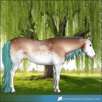 Horse Color:Painted White Spotted Red Onyx Mushroom 