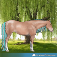 Horse Color:Painted Gold Champagne Mushroom Tobiano