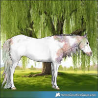 Horse Color:Nacre Silver Grullo Ice Tobiano Frame 