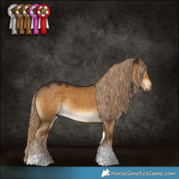 Horse Color:Gray Chocolate Palomino Dun Tobiano 