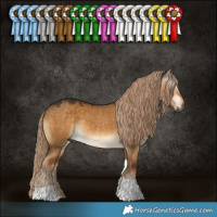 Horse Color:Gray Chocolate Palomino Dun Tobiano
