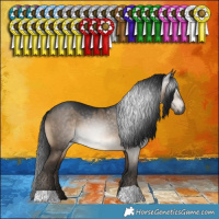 Horse Color:Gray Brown Dun 