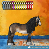 Horse Color:Gray Brown Dun 