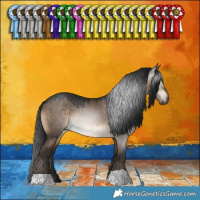 Horse Color:Gray Brown Dun 