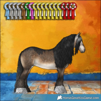 Horse Color:Gray Brown Dun 