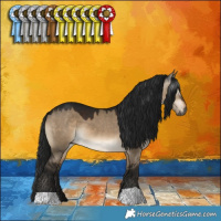 Horse Color:Gray Brown Dun