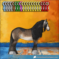 Horse Color:Gray Brown Dun 