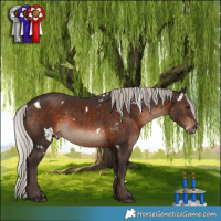 Horse Color:White Spotted Silver Brown 