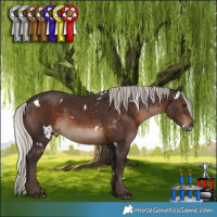 Horse Color:White Spotted Silver Brown