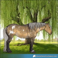 Horse Color:White Spotted Silver Buckskin Dun 