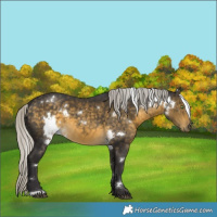 Horse Color:White Spotted Silver Buckskin 