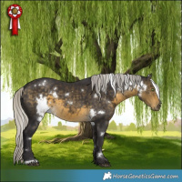 Horse Color:White Spotted Silver Buckskin 
