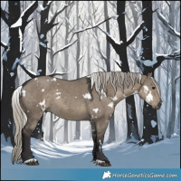 Horse Color:White Spotted Silver Smoky Grullo 