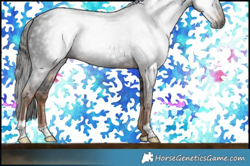 Horse Color:Gray Liver Chestnut
