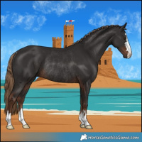 Horse Color:Liver Chestnut Rabicano 