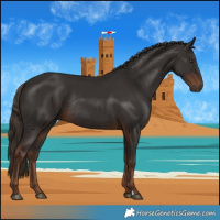 Horse Color:Liver Chestnut Rabicano 