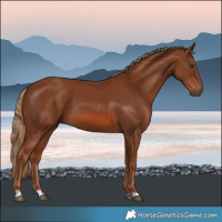 Horse Color:Chestnut 