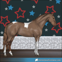 Horse Color:Liver Red Dun Tobiano Rabicano