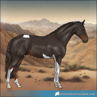 Horse Color:Liver Chestnut Tobiano
