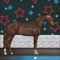 Horse Color:Gray Chestnut Rabicano