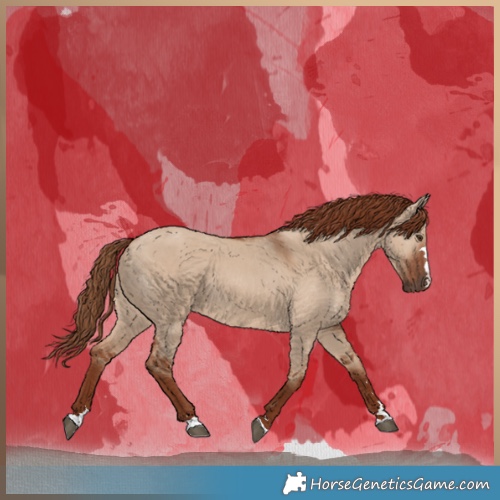Horse Color:Red Dun