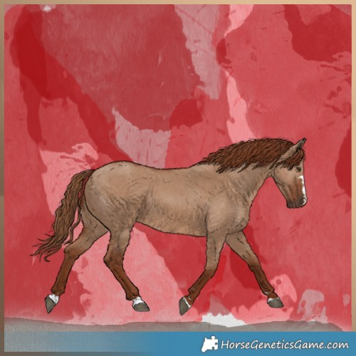 Horse Color:Red Dun 