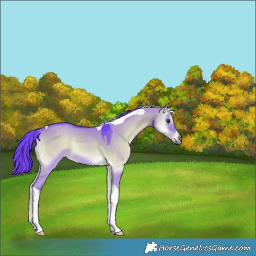Horse Color:Watercolor Liver Red Dun Onyx Tobiano Rabicano 