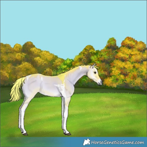 Horse Color:Watercolor Liver Red Dun Onyx Tobiano Rabicano 