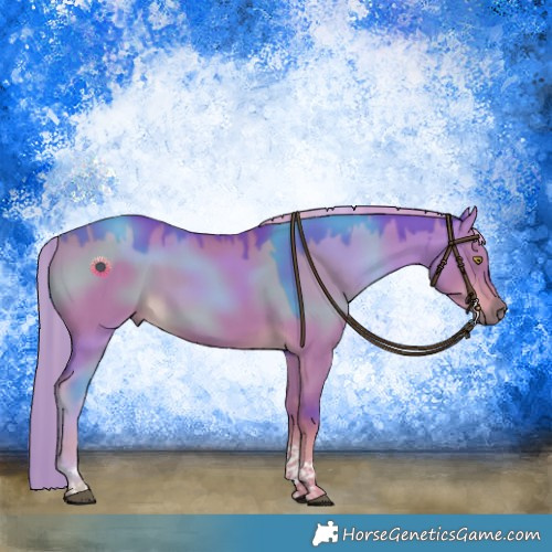 Horse Color:Watercolor Liver Red Dun Tobiano Rabicano 