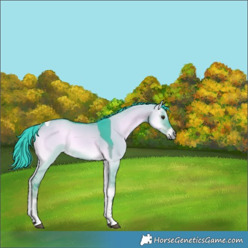 Horse Color:Watercolor Liver Red Dun Onyx Tobiano Rabicano 