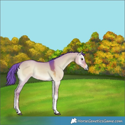 Horse Color:Watercolor Liver Red Dun Onyx Tobiano Rabicano 
