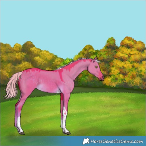 Horse Color:Watercolor Chocolate Palomino Dun Tobiano Rabicano 