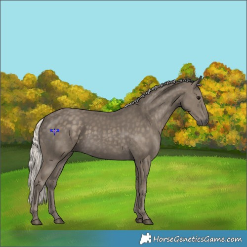 Horse Color:Silver Smoky Black 