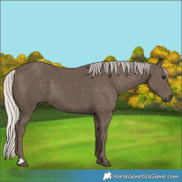 Horse Color:Silver Black 