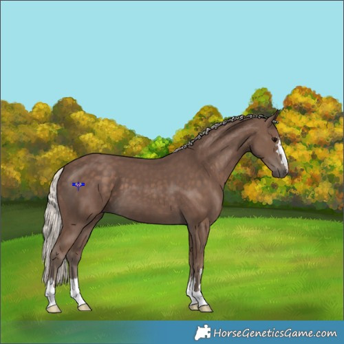 Horse Color:Silver Black 