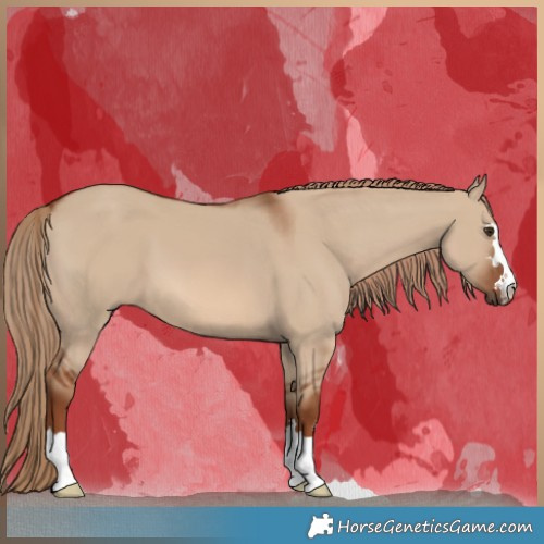 Horse Color:Red Dun 