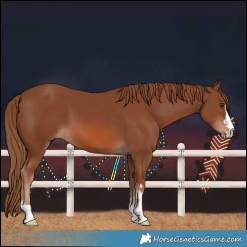 Horse Color:Chestnut 