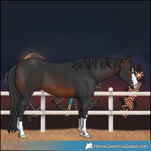 Horse Color:Brown 