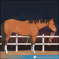 Horse Color:Bay 